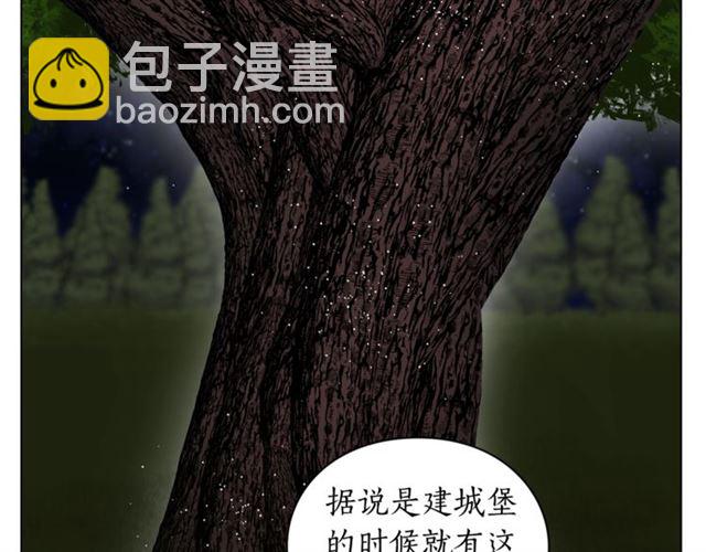 第 66 页