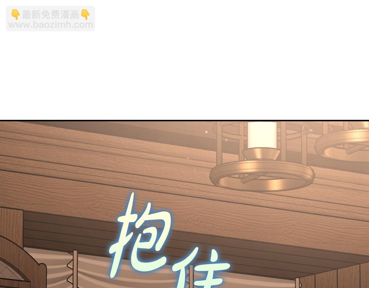 第 205 页