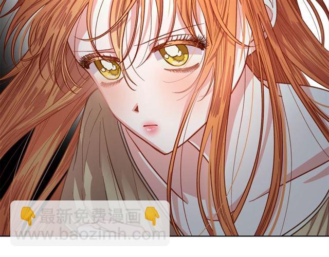 第 126 页