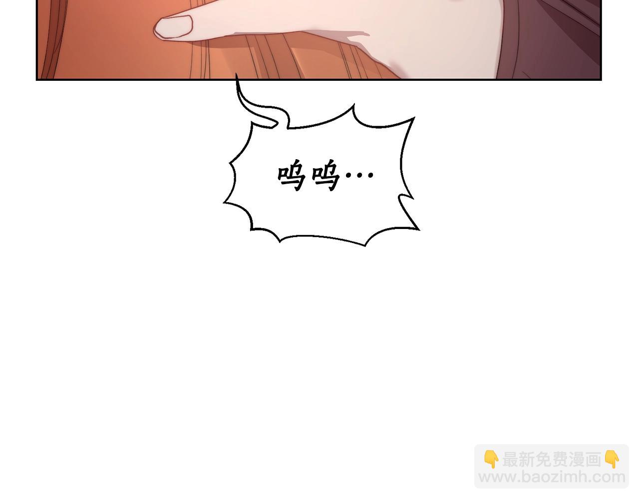 第 113 页