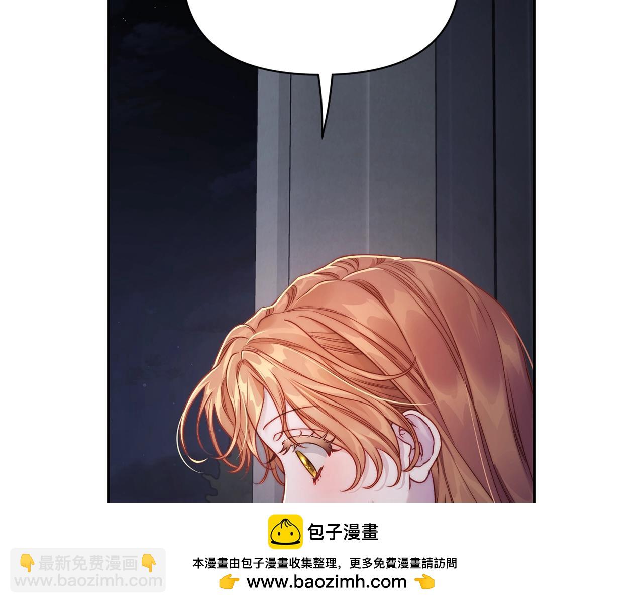 第 100 页