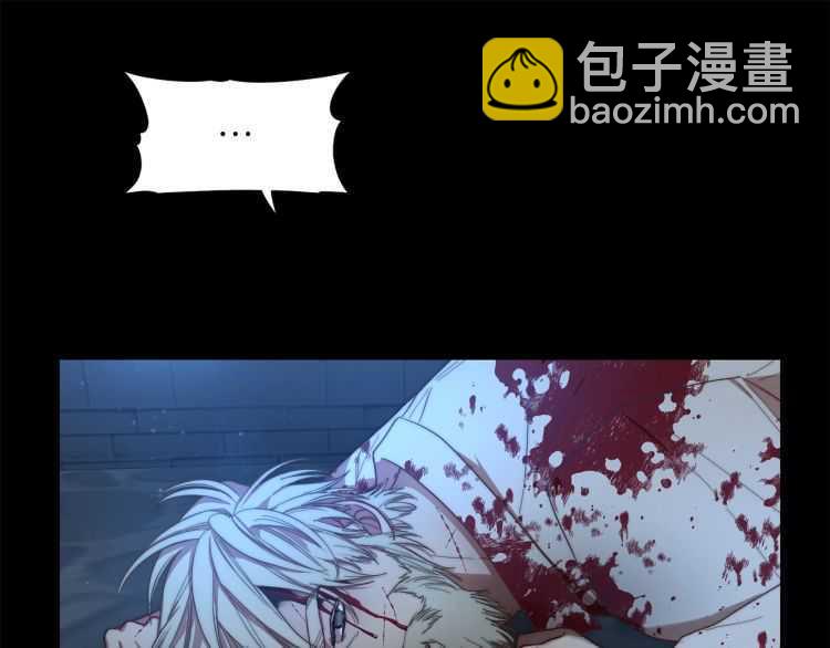 第 81 页