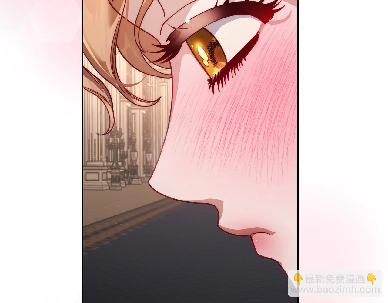 第 95 页