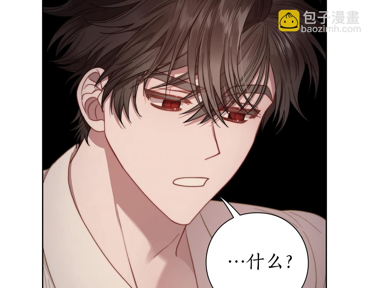 第 97 页