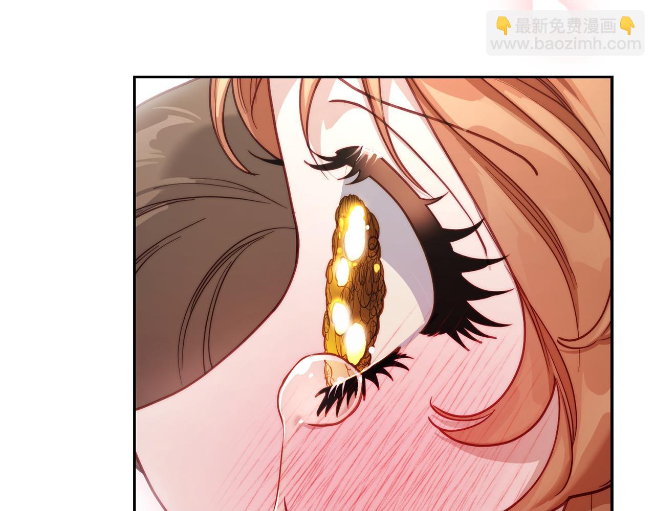 第 221 页