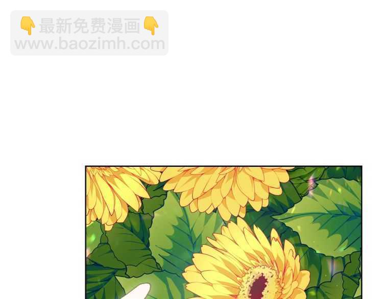 第 97 页