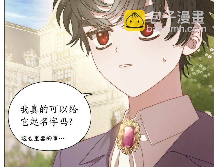 第 88 页
