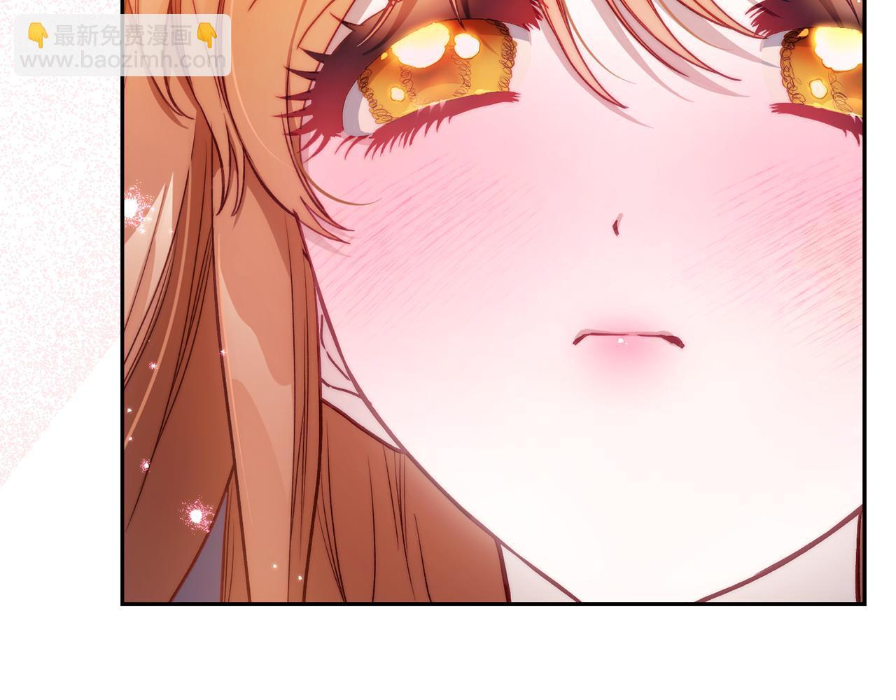 第 111 页