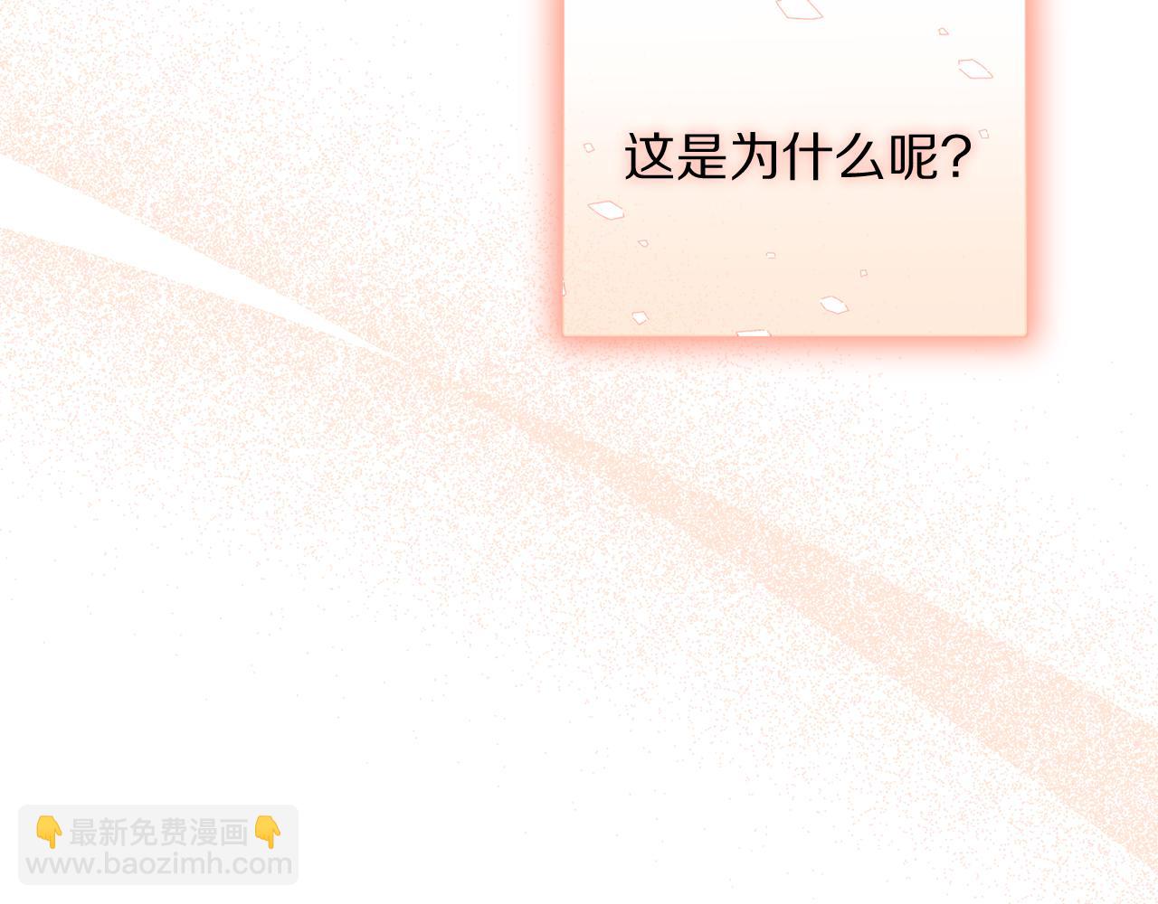 第 206 页