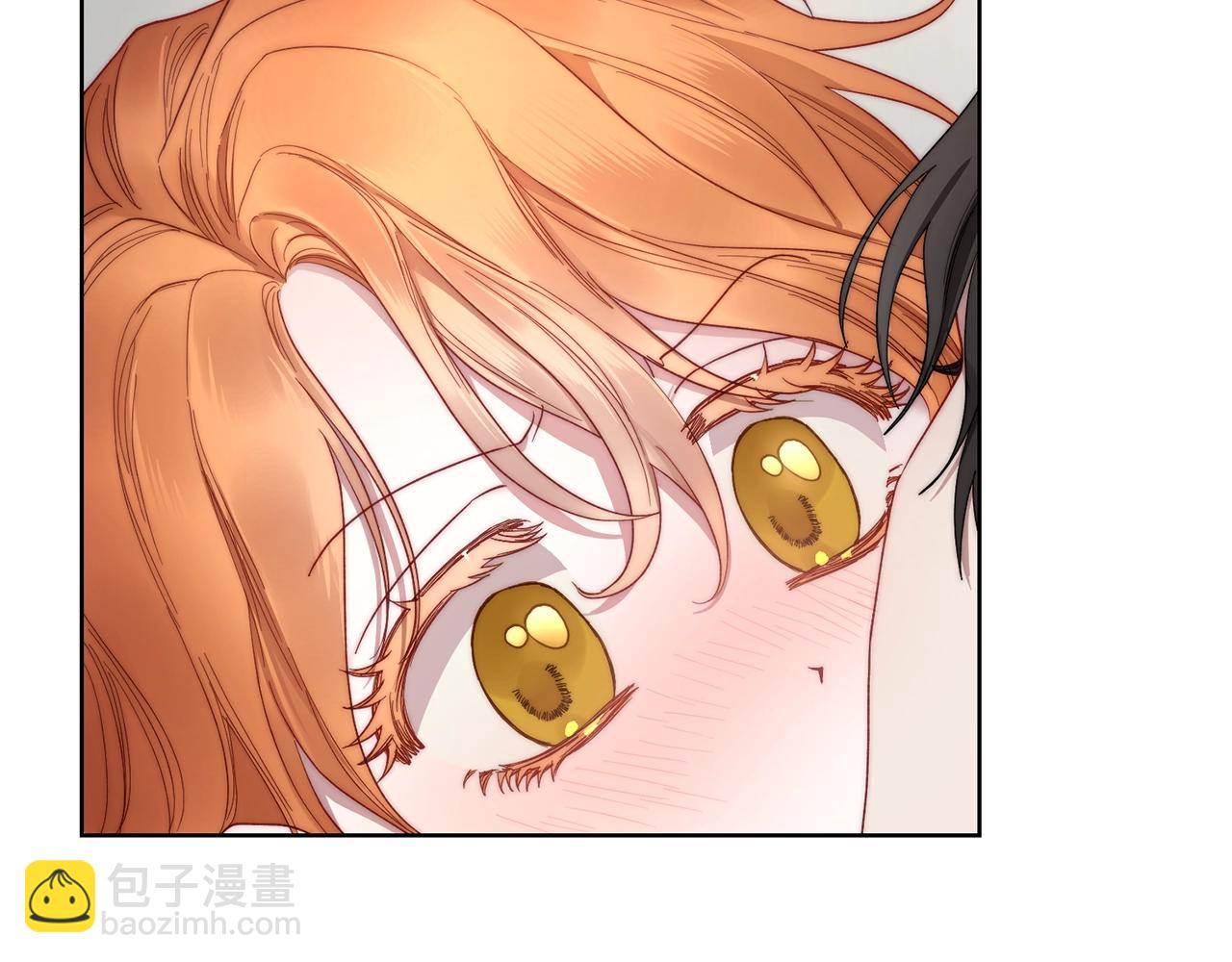 第 103 页