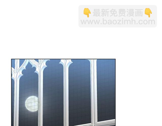 第 111 页