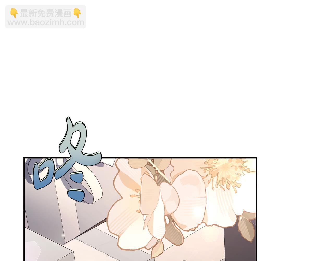 第 100 页