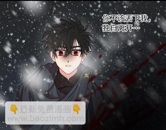 第 121 页