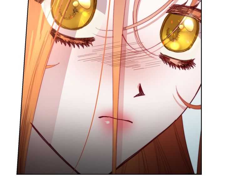 第 113 页