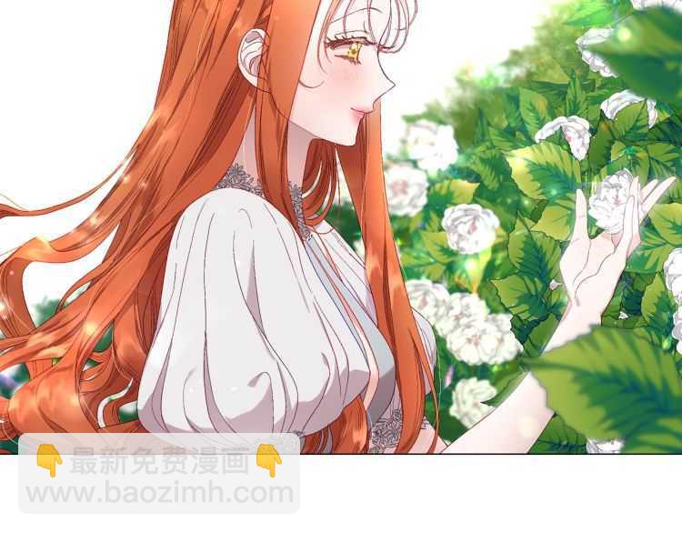 第 104 页