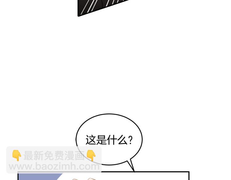 第 113 页