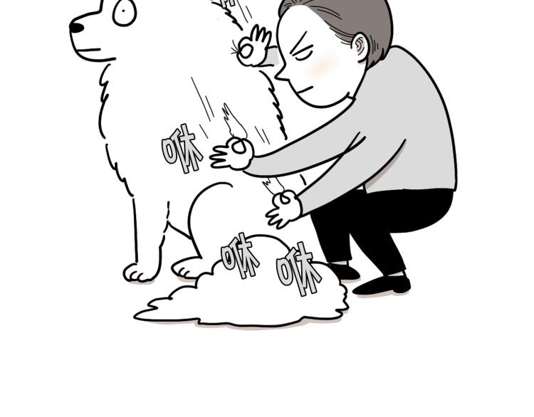 第 56 页