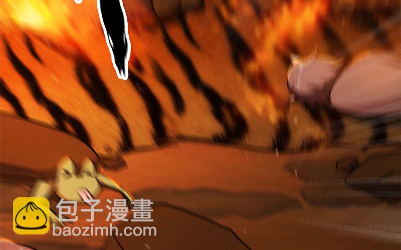 第 224 页