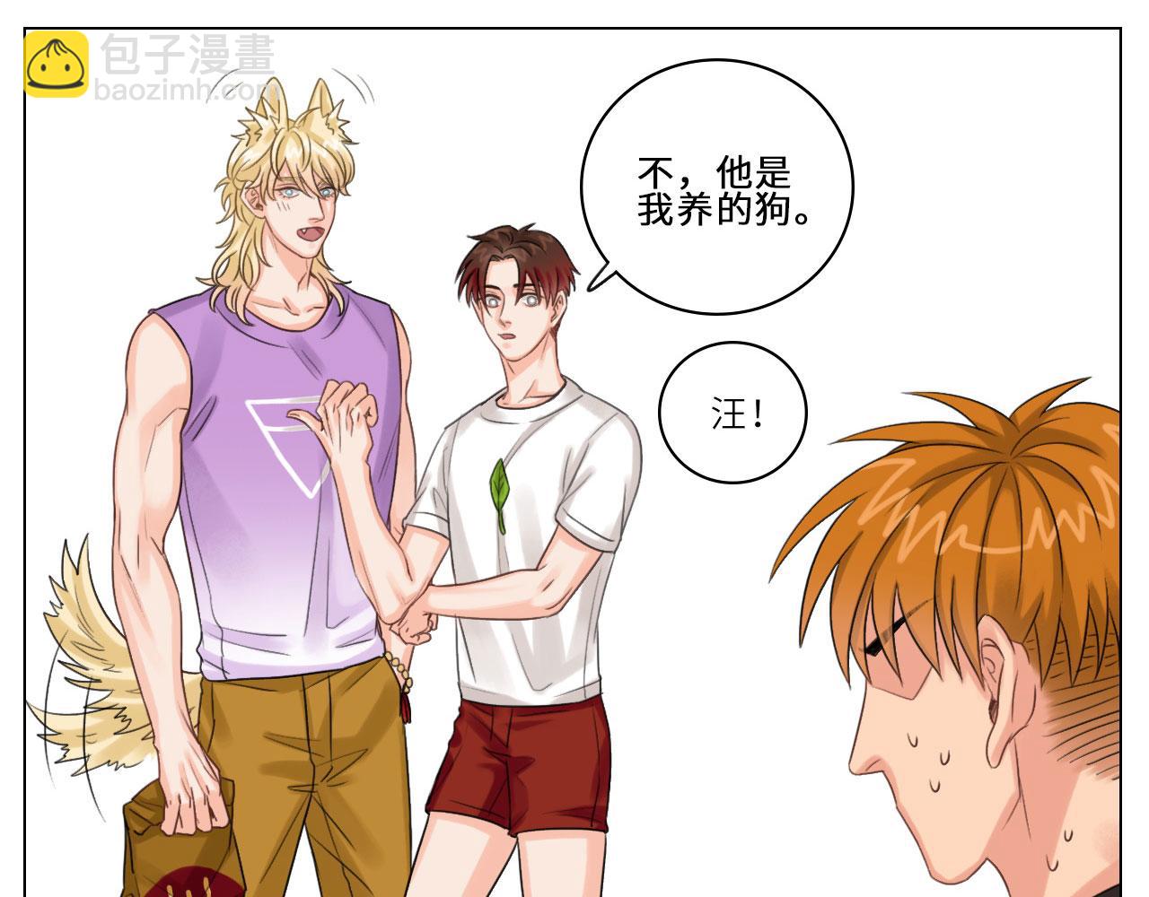 第 41 页