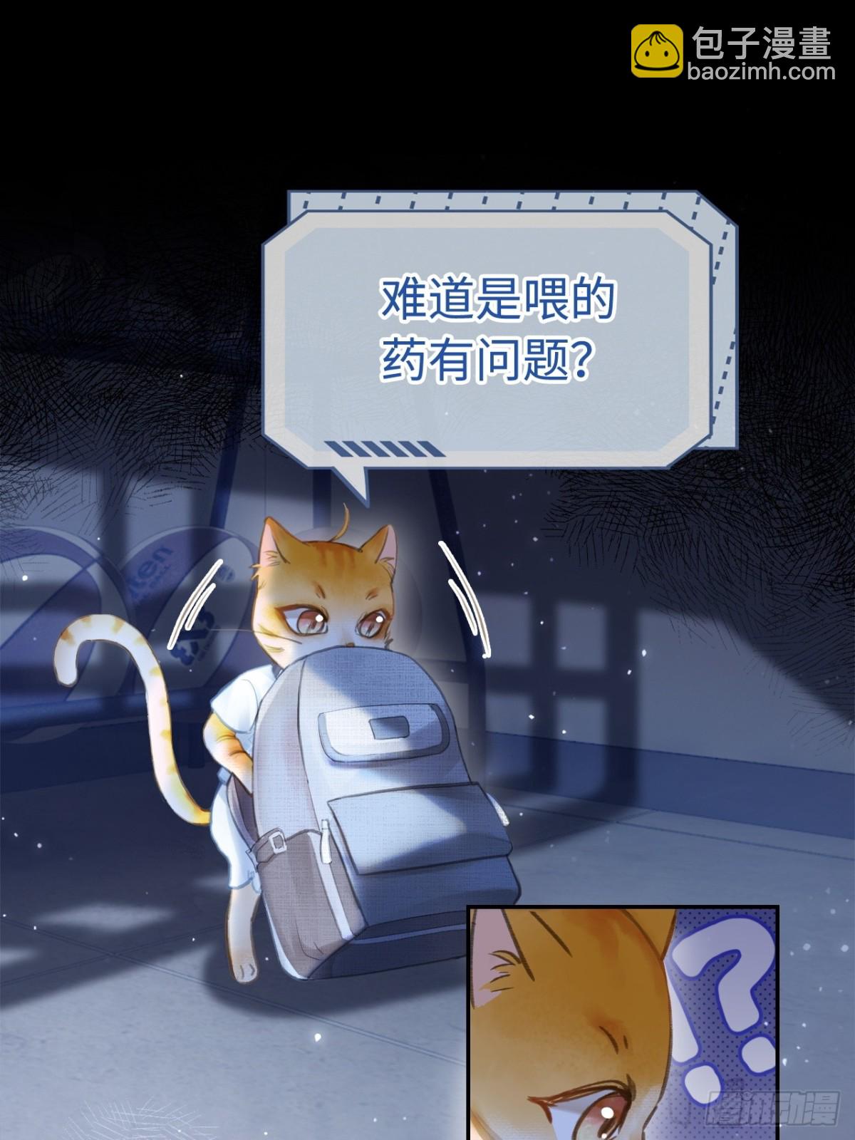 第 35 页