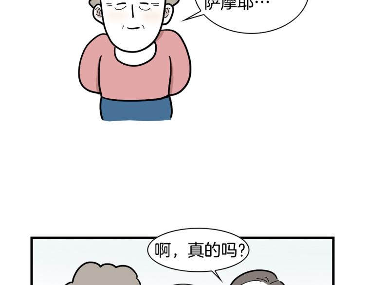 第 77 页