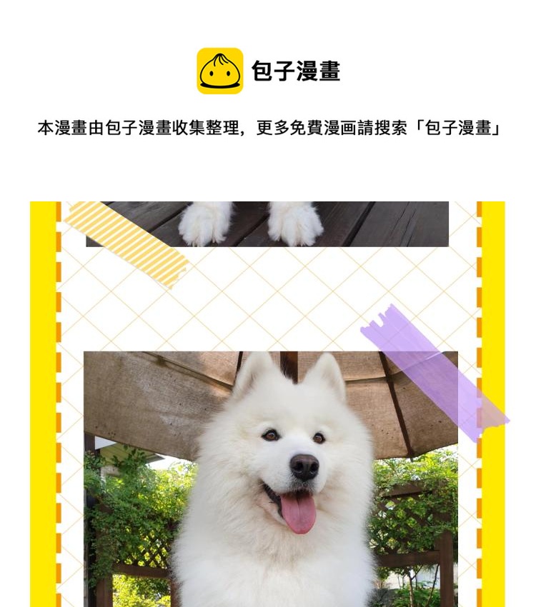 第 95 页