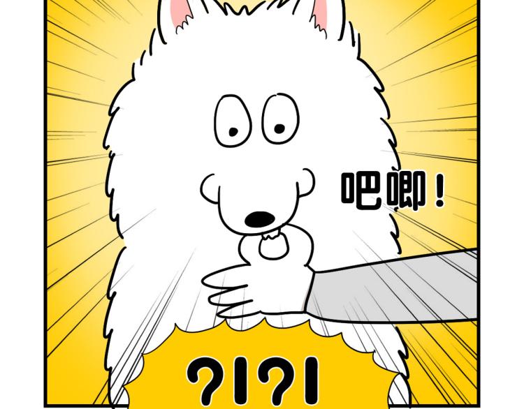 第 61 页