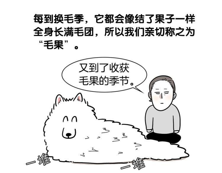 第 52 页