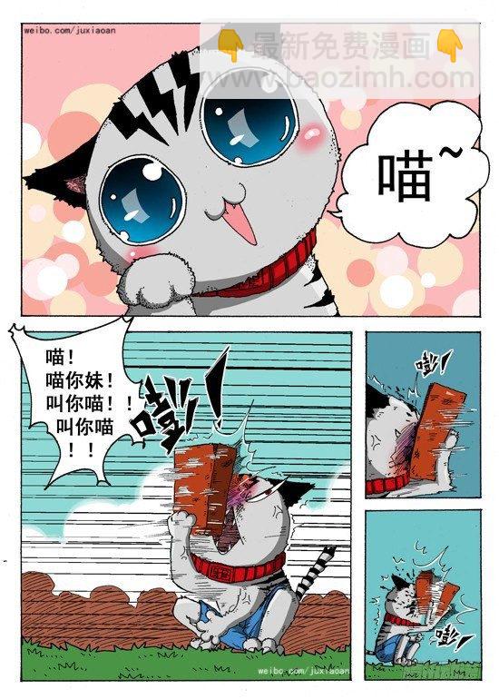 第 6 页