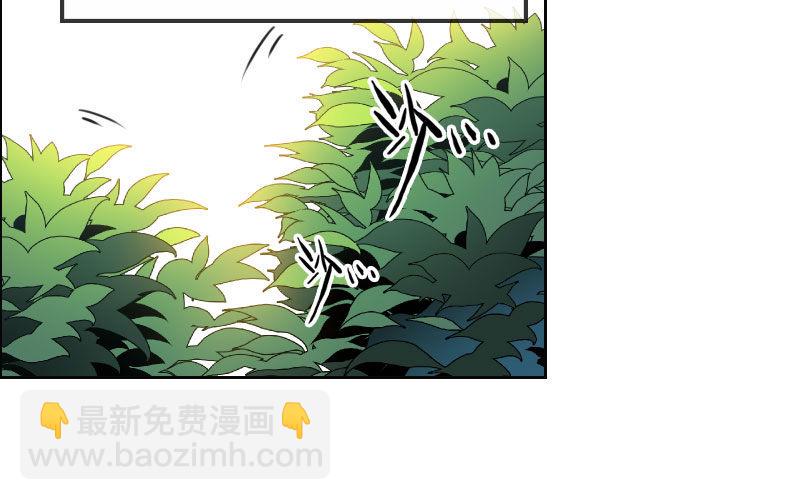 第 71 页