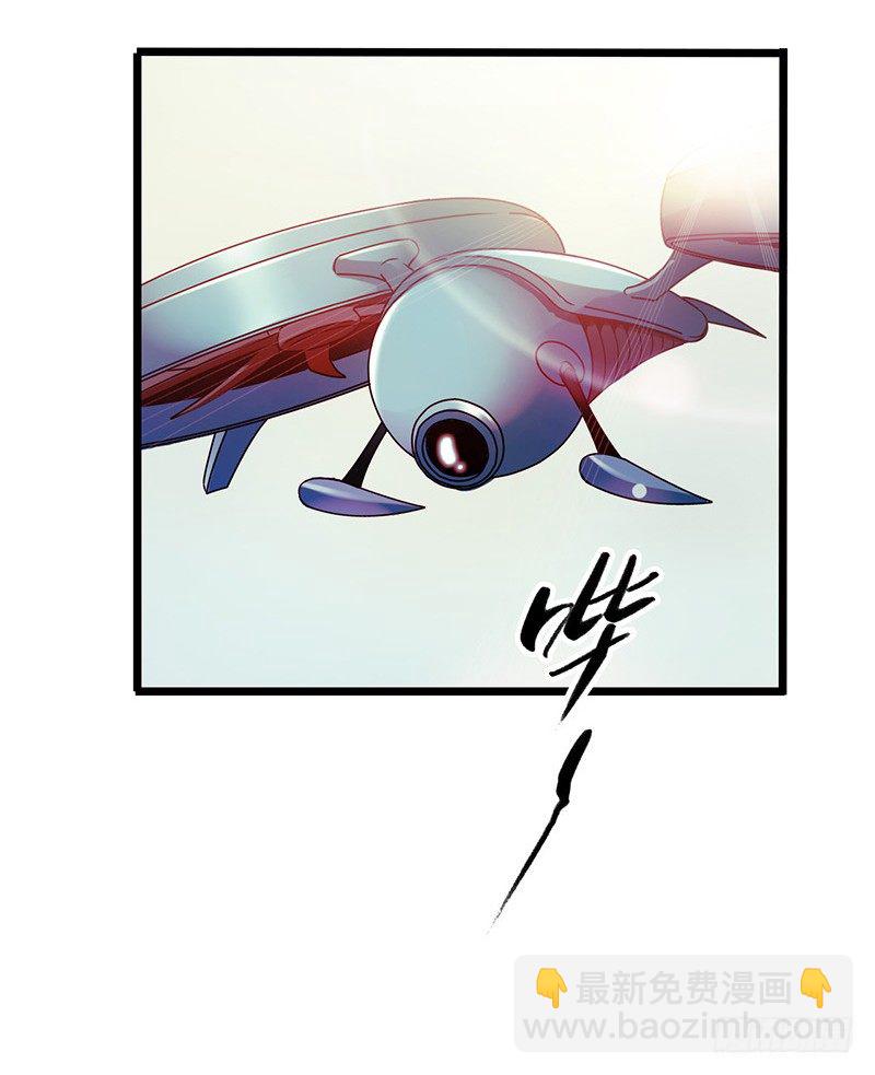第 49 页