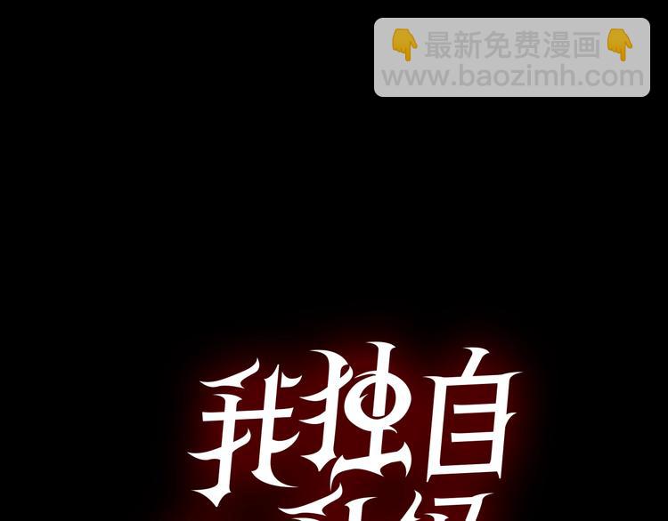 第 116 页