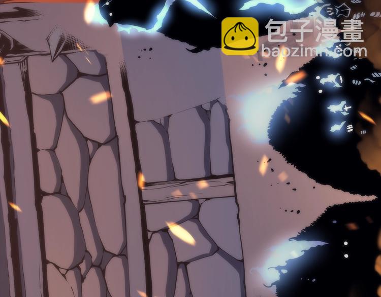 第 113 页