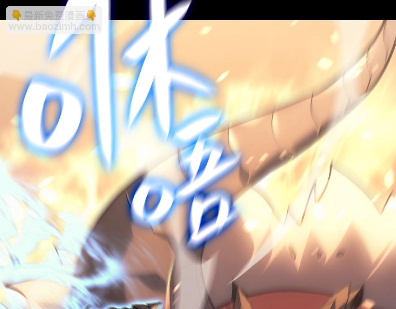 第 216 页