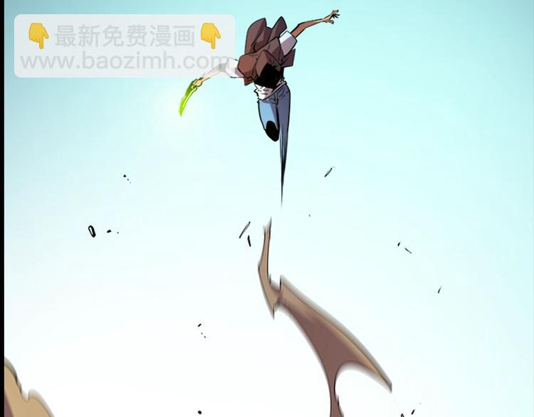 第 66 页