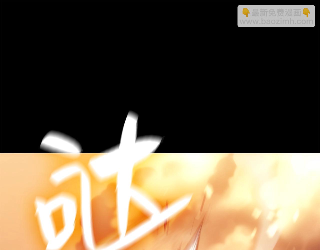 第 213 页