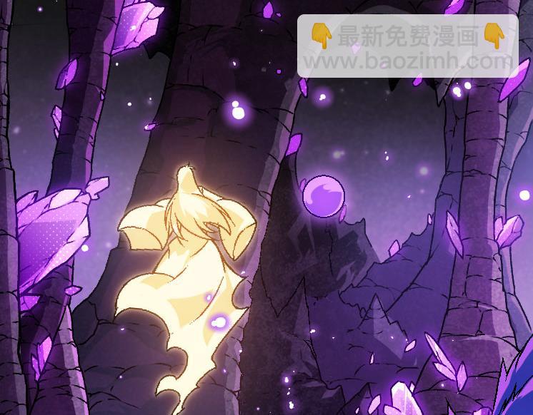 第 111 页