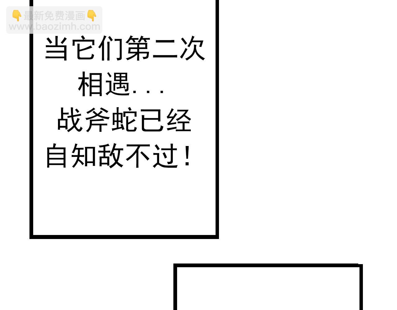 第 239 页