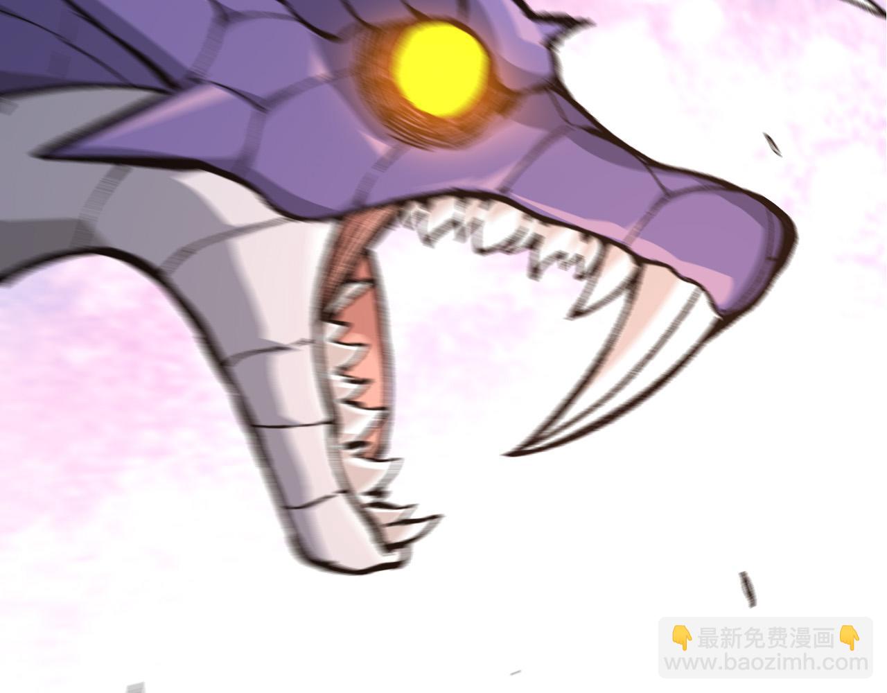第 242 页