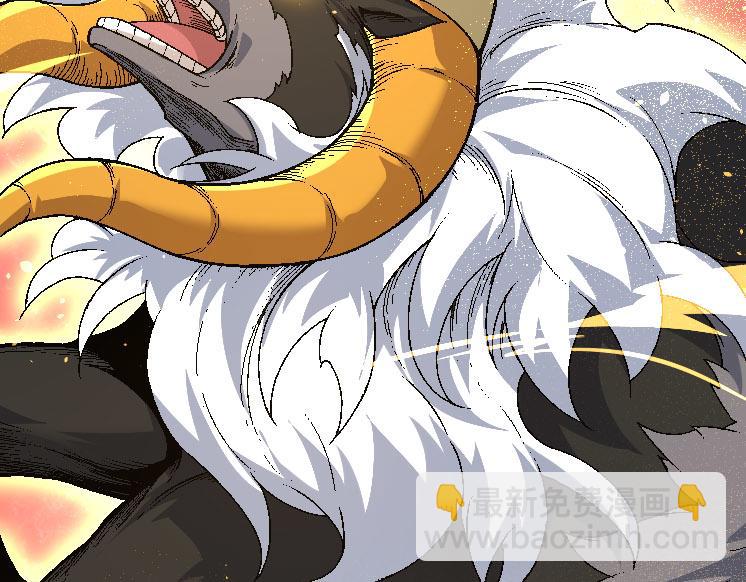 第 102 页