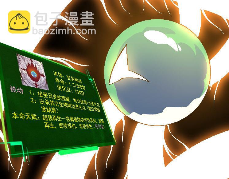 第 52 页