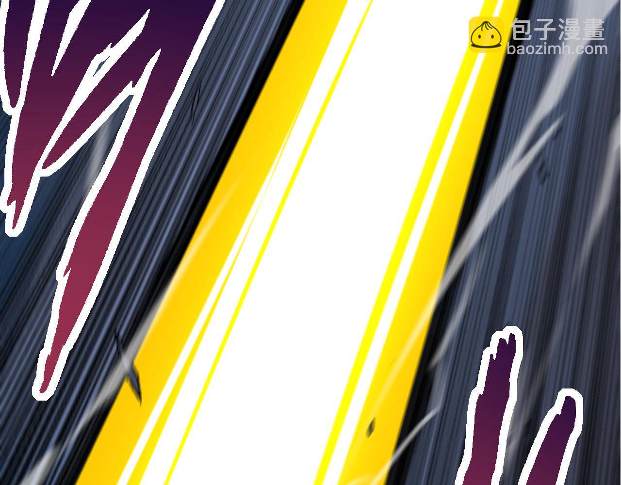 第 113 页
