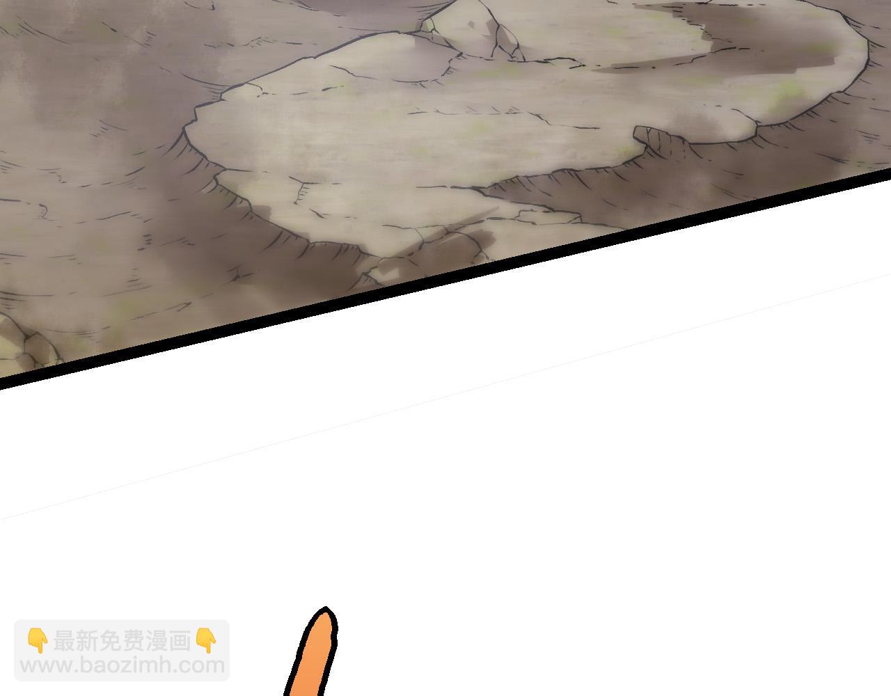 第 206 页