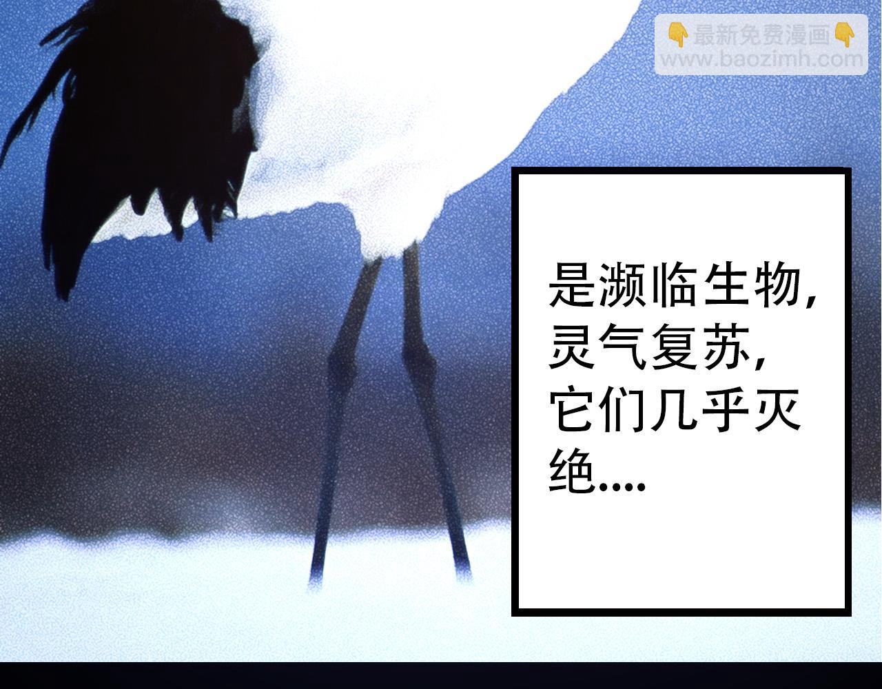 第 104 页