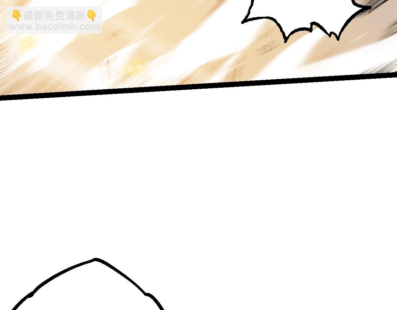第 110 页