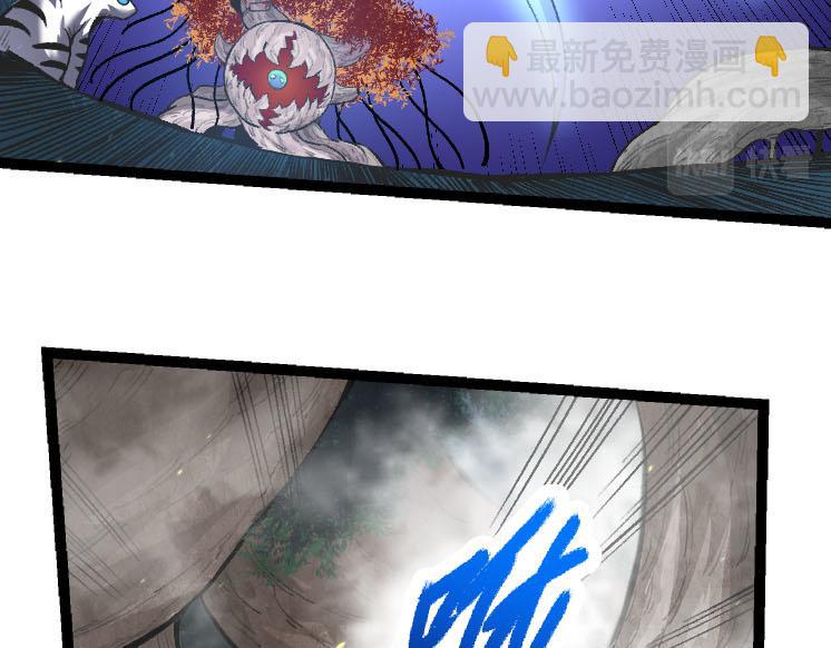 第 81 页