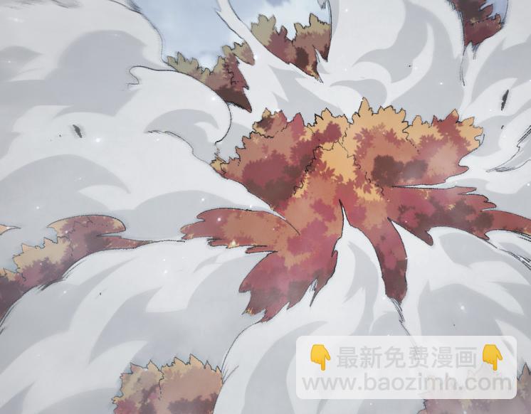第 66 页