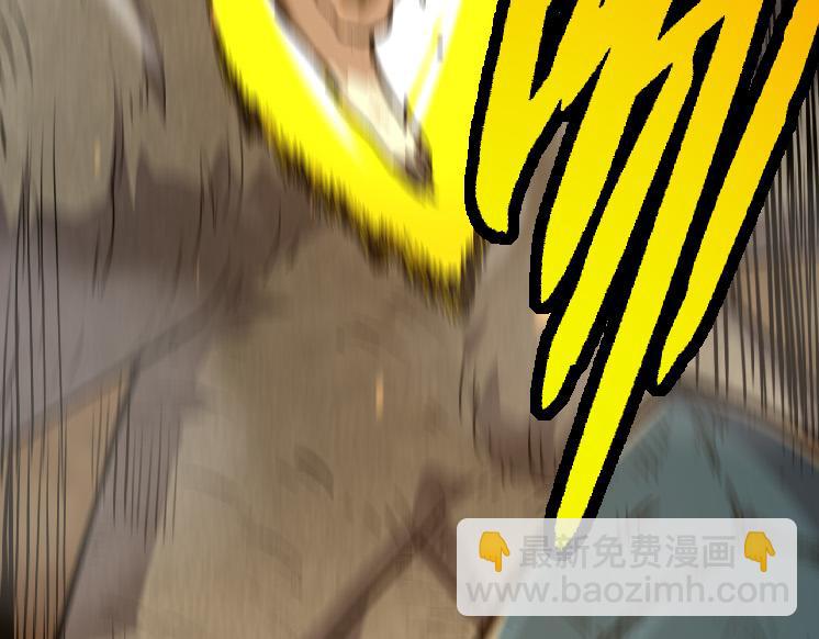 第 135 页