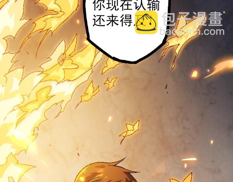 第 161 页