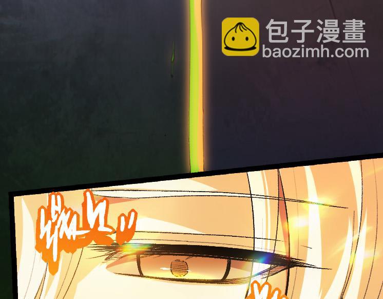 第 113 页